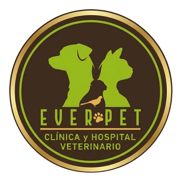 EVERPET | Clínica Veterinaria & Hospital