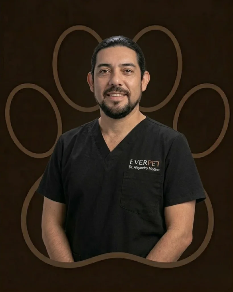 Dr. Alejandro Medina - Médico Veterinario Cirujano
de Alta Complejidad