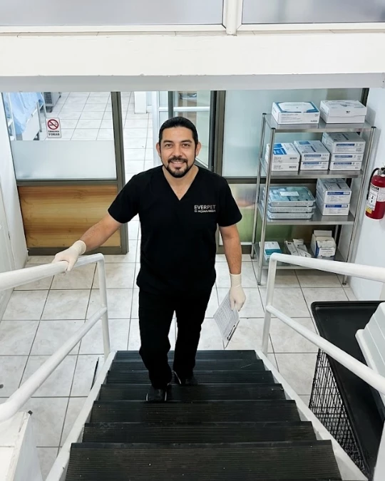 El Dr. combina la excelencia en pabellón con la calidez humana que define a EVERPET. Se dedica a explicar cada detalle de la cirugía y sus beneficios, permitiendo que el tutor comprenda profundamente el proceso y se sienta tranquilo al dejar la salud de su mascota en manos expertas y transparentes.