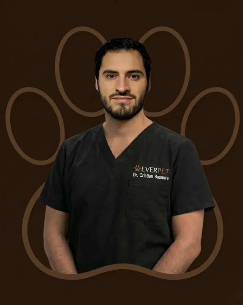 Dr. Cristian Basaure - Especialista en Oncología y Medicina Broncopulmonar | Clínica y Hospital Veterinario en Villa Alemana